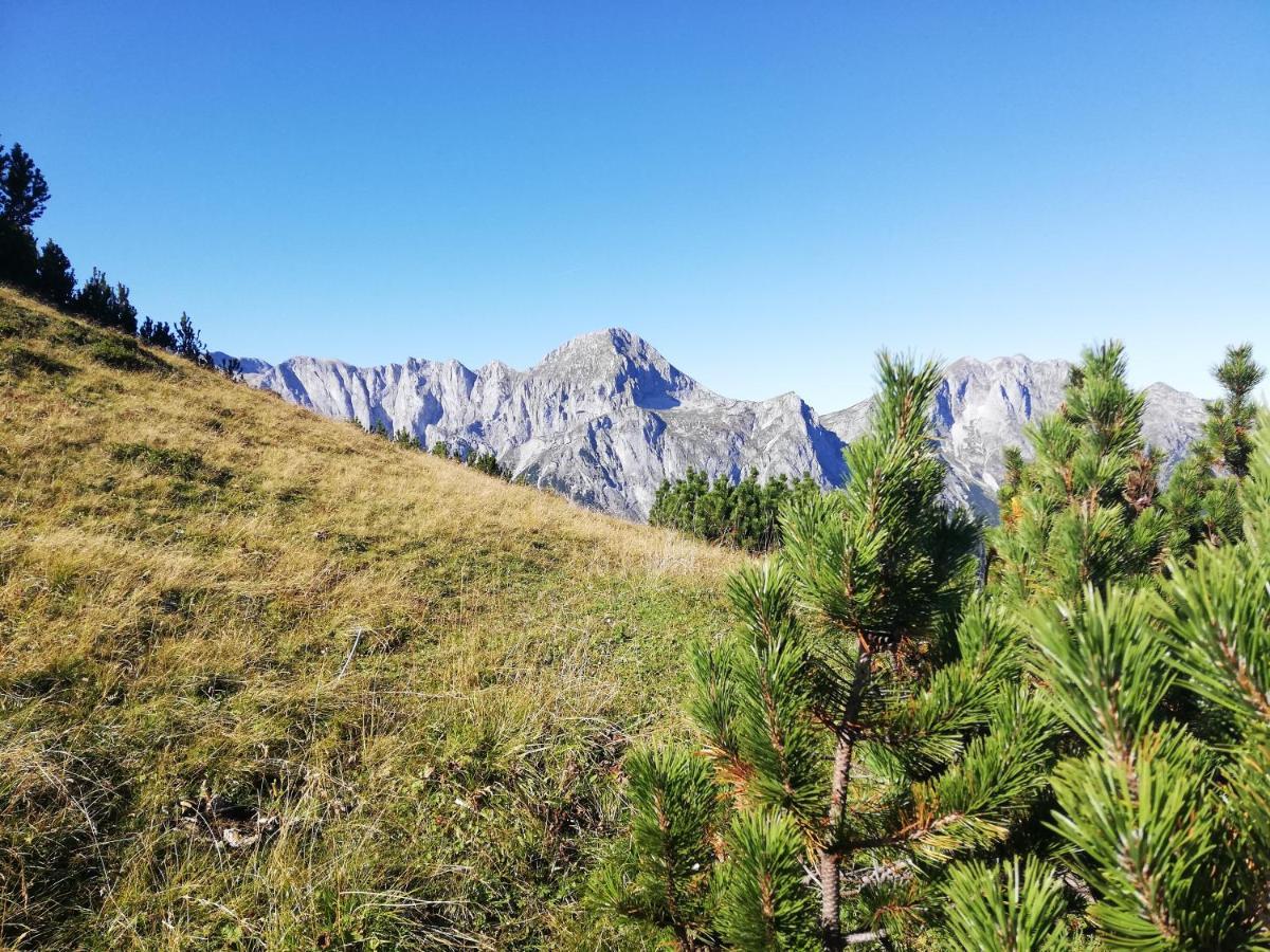 Ferienhaus Sonnberg Hüttau Exteriör bild